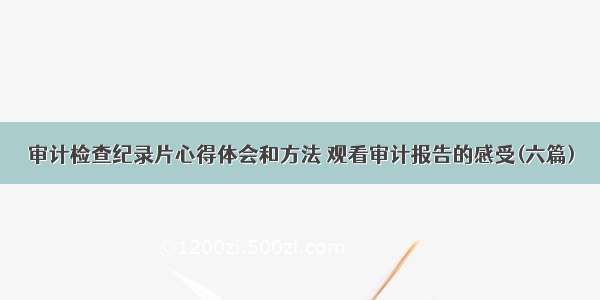 审计检查纪录片心得体会和方法 观看审计报告的感受(六篇)