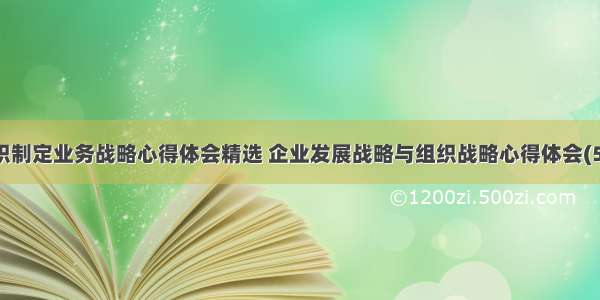 组织制定业务战略心得体会精选 企业发展战略与组织战略心得体会(5篇)