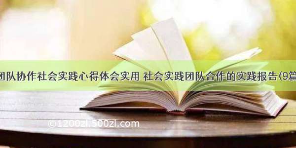 团队协作社会实践心得体会实用 社会实践团队合作的实践报告(9篇)