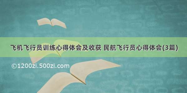 飞机飞行员训练心得体会及收获 民航飞行员心得体会(3篇)