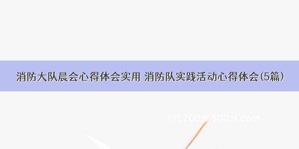 消防大队晨会心得体会实用 消防队实践活动心得体会(5篇)