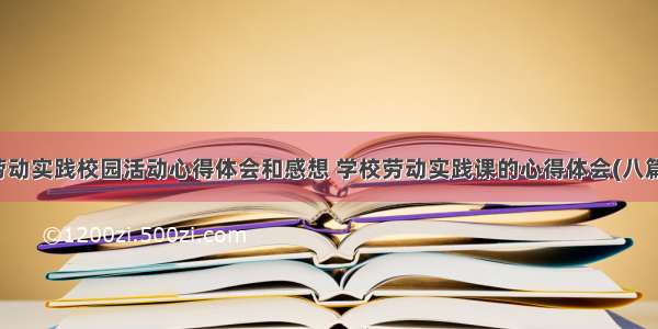 劳动实践校园活动心得体会和感想 学校劳动实践课的心得体会(八篇)