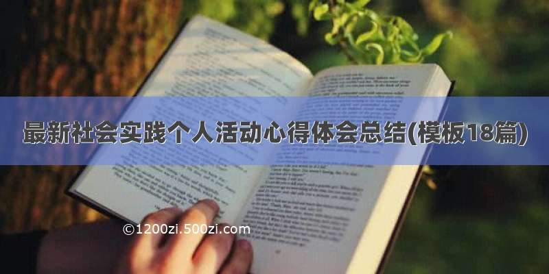 最新社会实践个人活动心得体会总结(模板18篇)