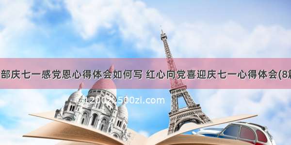 支部庆七一感党恩心得体会如何写 红心向党喜迎庆七一心得体会(8篇)