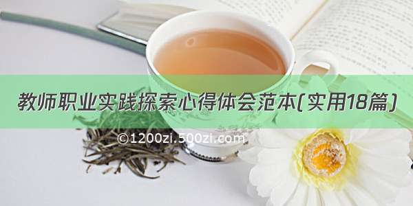 教师职业实践探索心得体会范本(实用18篇)