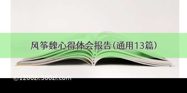 风筝魏心得体会报告(通用13篇)