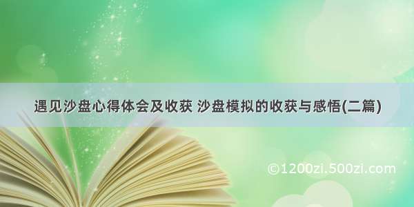 遇见沙盘心得体会及收获 沙盘模拟的收获与感悟(二篇)