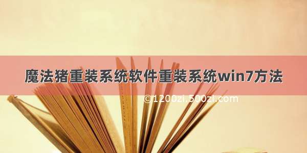 魔法猪重装系统软件重装系统win7方法