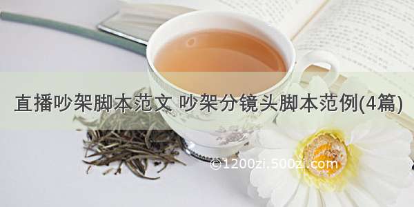 直播吵架脚本范文 吵架分镜头脚本范例(4篇)