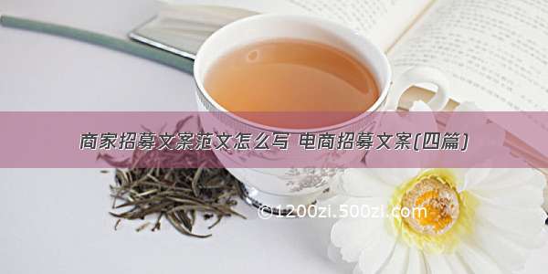 商家招募文案范文怎么写 电商招募文案(四篇)