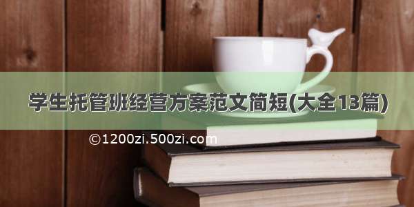 学生托管班经营方案范文简短(大全13篇)