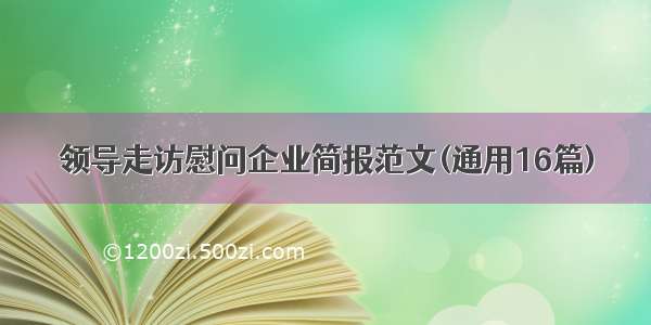 领导走访慰问企业简报范文(通用16篇)