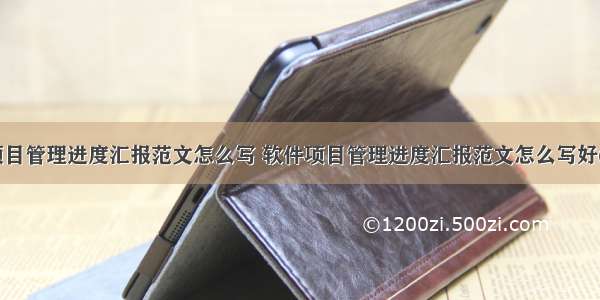 软件项目管理进度汇报范文怎么写 软件项目管理进度汇报范文怎么写好(九篇)