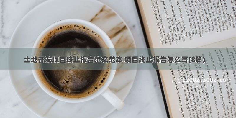 土地开发项目终止报告范文范本 项目终止报告怎么写(8篇)