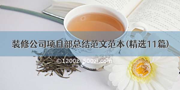 装修公司项目部总结范文范本(精选11篇)