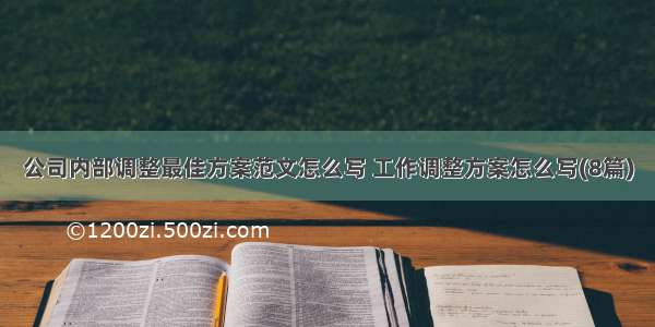 公司内部调整最佳方案范文怎么写 工作调整方案怎么写(8篇)