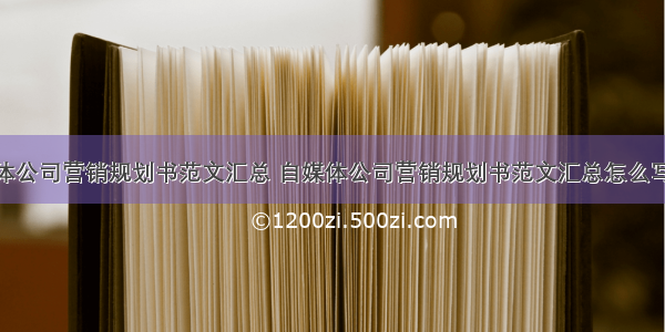 自媒体公司营销规划书范文汇总 自媒体公司营销规划书范文汇总怎么写(5篇)