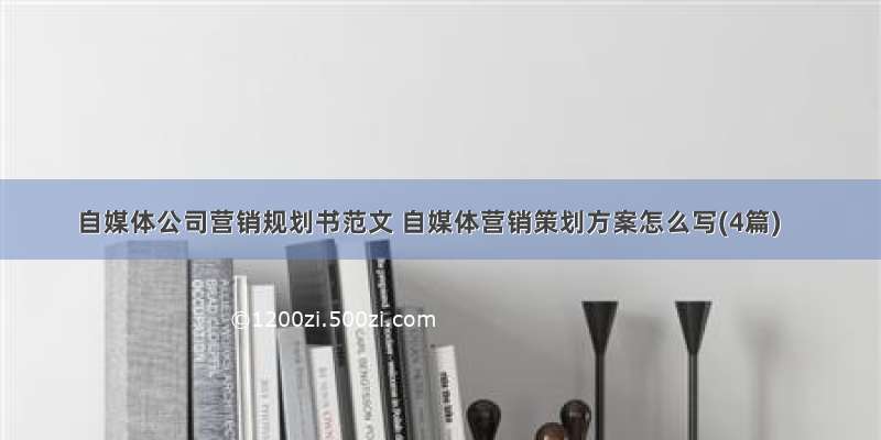 自媒体公司营销规划书范文 自媒体营销策划方案怎么写(4篇)