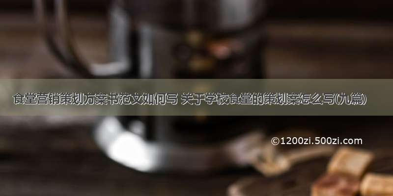 食堂营销策划方案书范文如何写 关于学校食堂的策划案怎么写(九篇)