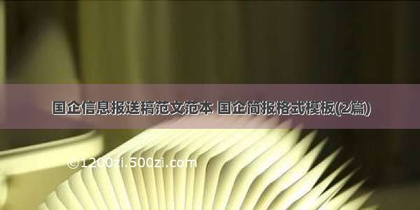 国企信息报送稿范文范本 国企简报格式模板(2篇)