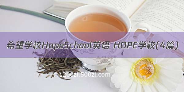 希望学校HopeSchool英语 HOPE学校(4篇)