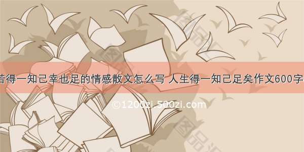 人生若得一知己幸也足的情感散文怎么写 人生得一知己足矣作文600字(九篇)