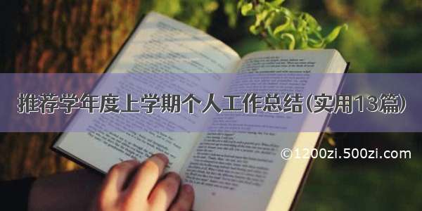 推荐学年度上学期个人工作总结(实用13篇)