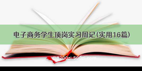 电子商务学生顶岗实习周记(实用16篇)