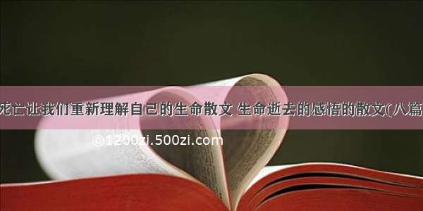 死亡让我们重新理解自己的生命散文 生命逝去的感悟的散文(八篇)