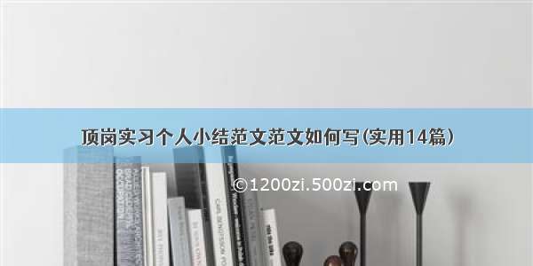 顶岗实习个人小结范文范文如何写(实用14篇)