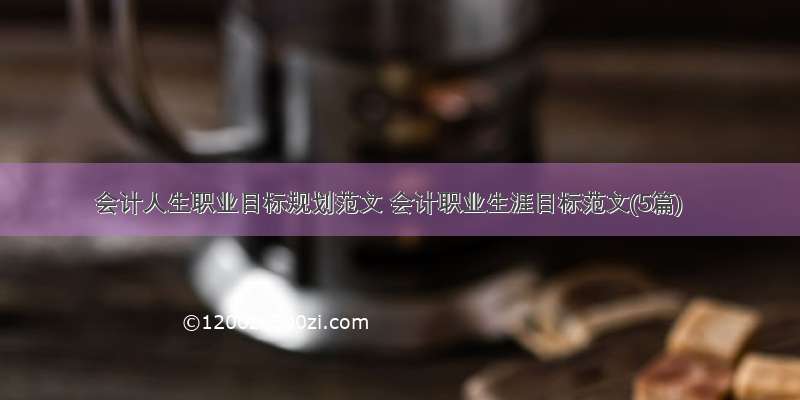 会计人生职业目标规划范文 会计职业生涯目标范文(5篇)