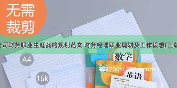 公司财务职业生涯战略规划范文 财务经理职业规划及工作设想(三篇)