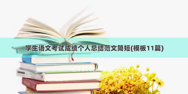 学生语文考试成绩个人总结范文简短(模板11篇)