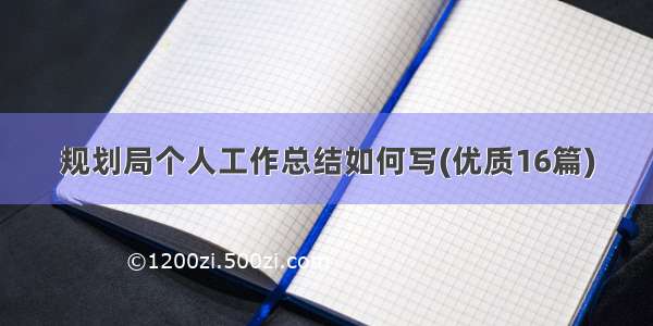 规划局个人工作总结如何写(优质16篇)