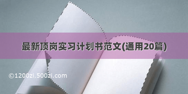 最新顶岗实习计划书范文(通用20篇)