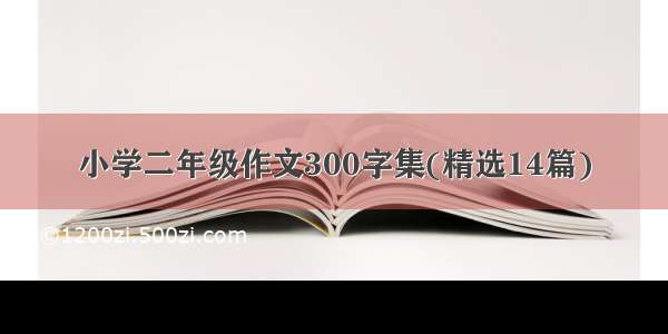 小学二年级作文300字集(精选14篇)