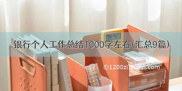 银行个人工作总结1000字左右(汇总9篇)