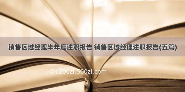 销售区域经理半年度述职报告 销售区域经理述职报告(五篇)