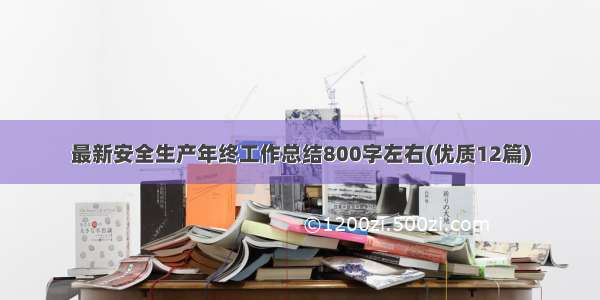 最新安全生产年终工作总结800字左右(优质12篇)