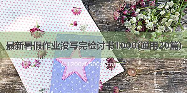 最新暑假作业没写完检讨书1000(通用20篇)