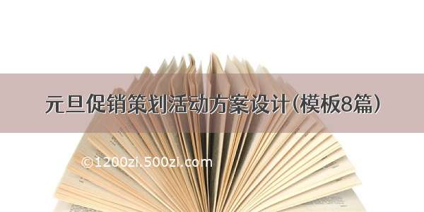 元旦促销策划活动方案设计(模板8篇)