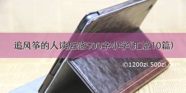 追风筝的人读后感500字小学(汇总10篇)