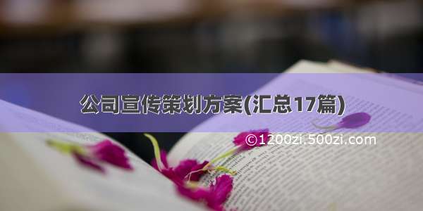 公司宣传策划方案(汇总17篇)