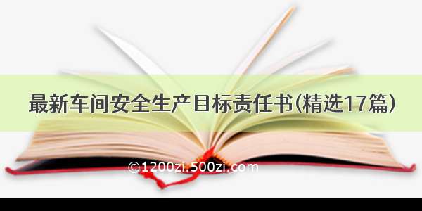 最新车间安全生产目标责任书(精选17篇)