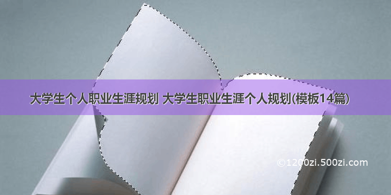 大学生个人职业生涯规划 大学生职业生涯个人规划(模板14篇)