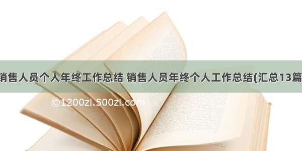 销售人员个人年终工作总结 销售人员年终个人工作总结(汇总13篇)