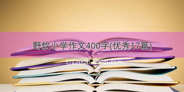 野炊小学作文400字(优秀17篇)