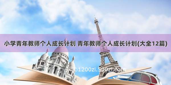 小学青年教师个人成长计划 青年教师个人成长计划(大全12篇)