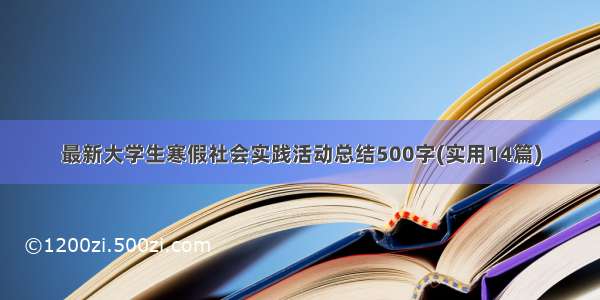 最新大学生寒假社会实践活动总结500字(实用14篇)