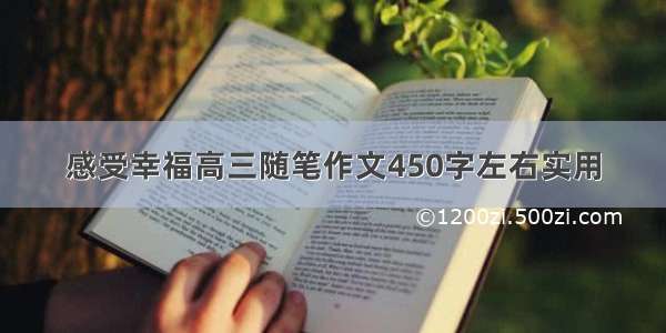 感受幸福高三随笔作文450字左右实用